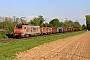 Alstom FRET T 017 - CFL Cargo "37017"
21.04.2026 - Kaarst, BroicherseitePhilippe Smets