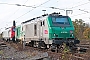 Alstom FRET T 018 - SNCF "437018"
02.11.2011 - Duisburg, Neufeld-Süd
Rolf Alberts