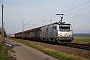 Alstom FRET T 018 - AKIEM "437018"
18.01.2014 - Niederschopfheim
Yannick Hauser