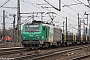Alstom FRET T 023 - AKIEM "437023"
07.03.2018 - Oberhausen, Rangierbahnhof WestRolf Alberts