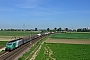 Alstom FRET T 023 - Rhenus Rail "437 023"
08.05.2020 - Frankenthal (Pfalz) SüdHarald Belz