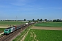 Alstom FRET T 023 - Rhenus Rail "437 023"
08.05.2020 - Frankenthal (Pfalz) Süd
Harald Belz