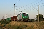 Alstom FRET T 025 - Wincanton Rail "437025"
07.07.2010 - TeutschenthalNils Hecklau