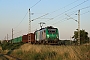 Alstom FRET T 025 - Wincanton Rail "437025"
07.07.2010 - Teutschenthal
Nils Hecklau