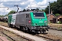 Alstom FRET T 029 - SNCF "437029"
05.07.2010 - HaubourdinNicolas Beyaert