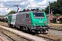 Alstom FRET T 029 - SNCF "437029"
05.07.2010 - Haubourdin
Nicolas Beyaert