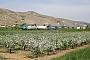 Alstom FRET T 030 - SNCF "437030"
22.04.2010 - Tupin
Nico Demmusse