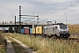 Alstom FRET T 030 - CTL "37030"
24.07.2014 - Hamburg-WaltershofPatrick Bock