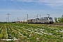 Alstom FRET T 032 - Rhenus Rail "37032"
16.04.2020 - Hürth-FischenichKai Dortmann
