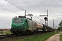 Alstom FRET T 033 - SNCF "437033"
10.07.2007 - Genlis
Sylvain  Assez