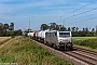 Alstom FRET T 033 - Rhenus Rail "37033"
22.09.2021 - Bornheim
Fabian Halsig