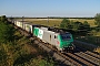 Alstom FRET T 036 - SNCF "437036"
06.09.2016 - RouffachVincent Torterotot