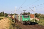 Alstom FRET T 036 - AKIEM "437036"
10.07.2018 - Hochfelden
Alexander Leroy