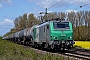 Alstom FRET T 038 - CFL Cargo "37038"
04.05.2016 - Zwischen Vechelde und Groß GleidingenRik Hartl