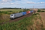 Alstom FRET T 038 - CFL Cargo "37038"
20.08.2020 - Ovelgünne
Sean Appel