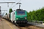 Alstom FRET T 040 - AKIEM "437040"
09.06.2014 - Les Aubrais Orléans (Loiret)
Thierry Mazoyer