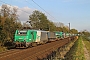 Alstom FRET T 044 - AKIEM "437044"
26.10.2014 - Steinbourg
Dirk Einsiedel