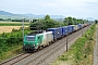 Alstom FRET T 046 - SNCF "437046"
04.08.2016 - Rouffach
Vincent Torterotot