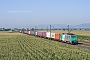 Alstom FRET T 048 - SNCF "437048"
25.07.2012 - Sand
Marco Dal Bosco