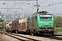 Alstom FRET T 050 - SNCF "437050"
04.05.2008 - Pfäffikon
Jochen Kohutek