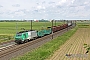 Alstom FRET T 050 - SNCF "437050"
09.06.2013 - Matzenheim
Jean-Claude Mons