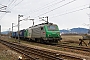 Alstom ? - SNCF "437051"
27.02.2010 - Bantzenheim
Vincent Torterotot