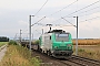 Alstom FRET T 052 - SNCF "437052"
24.08.2018 - Hochfelden
Alexander Leroy