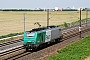 Alstom FRET T 054 - SNCF "437054"
17.05.2012 - Matzenheim
Yannick Hauser