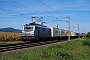 Alstom FRET T 055 - COLAS RAIL "37055"
09.09.2018 - Guémar
Vincent Torterotot