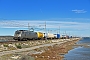 Alstom FRET T 055 - AKIEM "37055"
24.01.2024 - Leucate 
Thierry Leleu