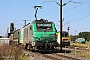 Alstom FRET T 056 - AKIEM "437056"
29.08.2017 - Hausbergen
Alexander Leroy