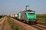 Alstom FRET T 059 - SNCF "437059"
10.08.2012 - Hochfelden
Arne Schuessler