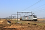 Bombardier 35304 - Lineas "186 385-1"
08.03.2025 - Warsage
Philippe Smets