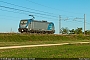 Bombardier ? - DB Cargo "494 553"
12.07.2020 - Stanghella
Riccardo Fogagnolo