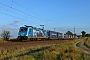 Bombardier 35569 - LTE "186 943"
01.09.2021 - Zörbig-Stumsdorf
Daniel Berg