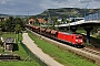 Bombardier 33402 - DB Cargo "185 005-6"
06.09.2017 - Jena-Göschwitz
Christian Klotz