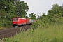 Bombardier 33404 - DB Cargo "185 007-2"
08.06.2021 - Uelzen
Gerd Zerulla