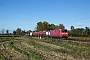 Bombardier 33414 - DB Cargo "185 017-1"
22.10.2021 - Riegel am Kaiserstuhl
Simon Garthe