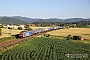 Bombardier 33440 - SBB Cargo "482 008-0"
13.06.2022 - Kollmarsreute
Jean-Claude Mons