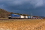 Bombardier 33455 - ITL "185-CL 003"
28.02.2025 - Gemünden (Main)-Harrbach
Fabian Halsig