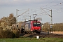 Bombardier 33462 - SBB Cargo "482 001-5"
21.04.2021 - Nottuln-Appelhülsen
Ingmar Weidig