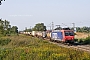 Bombardier 33473 - SBB Cargo "482 004-9"
22.08.2012 - Buggingen
Marco Dal Bosco