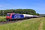 Bombardier 33473 - SBB Cargo "482 004-9"
15.06.2021 - Retzbach-Zellingen
Wolfgang Mauser