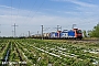 Bombardier 33474 - SBB Cargo "482 007-2"
15.04.2020 - Hürth-Fischenich
Kai Dortmann