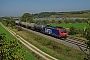 Bombardier 33478 - SBB Cargo "482 005-6"
01.10.2011 - Hügelheim
Vincent Torterotot