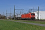 Bombardier 33480 - DB Cargo "185 063-5"
08.04.2018 - Groß Gerau
Marcus Schrödter