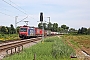 Bombardier 33484 - SBB Cargo "482 009-8"
18.06.2024 - Hecklingen
Jean-Claude Mons