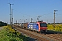 Bombardier 33484 - SBB Cargo "482 009-8"
27.08.2016 - Großkorbetha
Marcus Schrödter