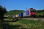 Bombardier 33484 - SBB Cargo "482 009-8"
08.09.2016 - Himmelstadt
Holger Grunow