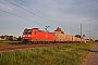 Bombardier 33491 - DB Cargo "185 076-7"
06.08.2017 - Saxdorf
Marcus Schrödter